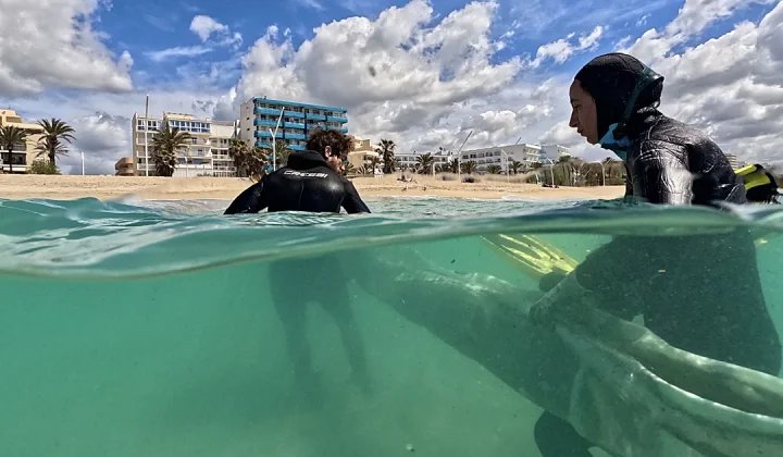 Roman Shipwreck in Mallorca Yields Unprecedented Inscriptions and Artifacts