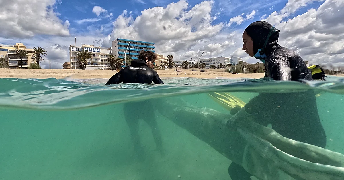 Roman Shipwreck in Mallorca Yields Unprecedented Inscriptions and Artifacts