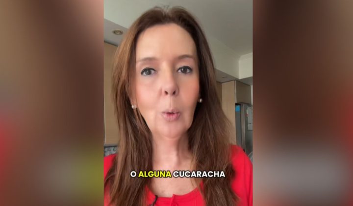 Experta en limpieza revela un truco viral con bicarbonato y azúcar para eliminar hormigas y cucarachas