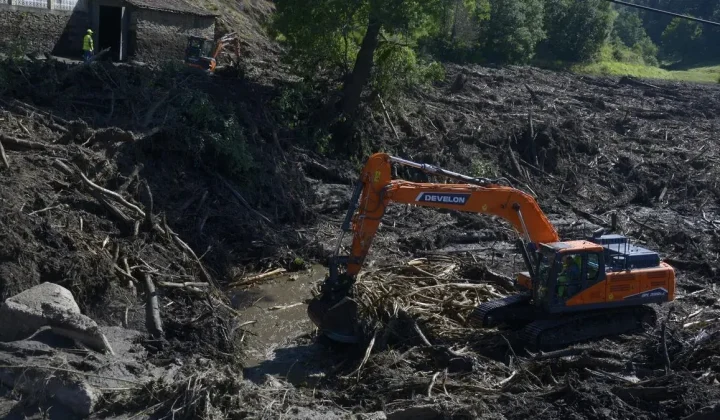 El impacto de los incendios forestales va más allá de la pérdida de vegetación y la destrucción del paisaje. Según expertos medioambientales