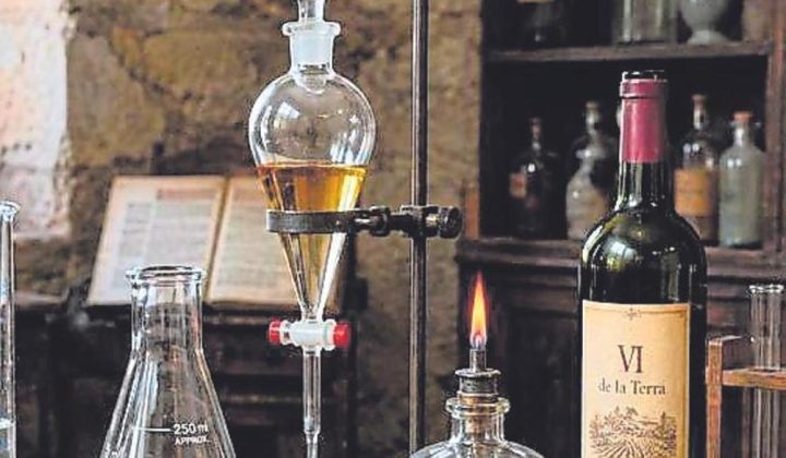 El vino, un remedio ancestral con eco en la cultura y la música