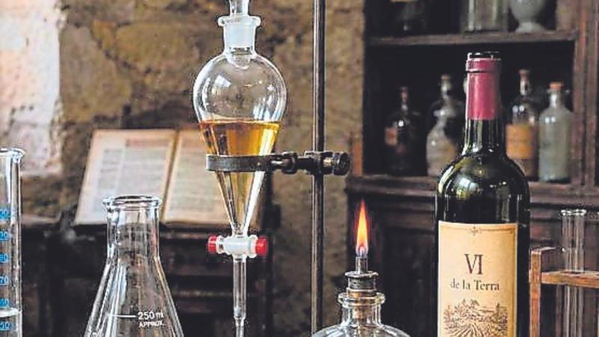 El vino, un remedio ancestral con eco en la cultura y la música
