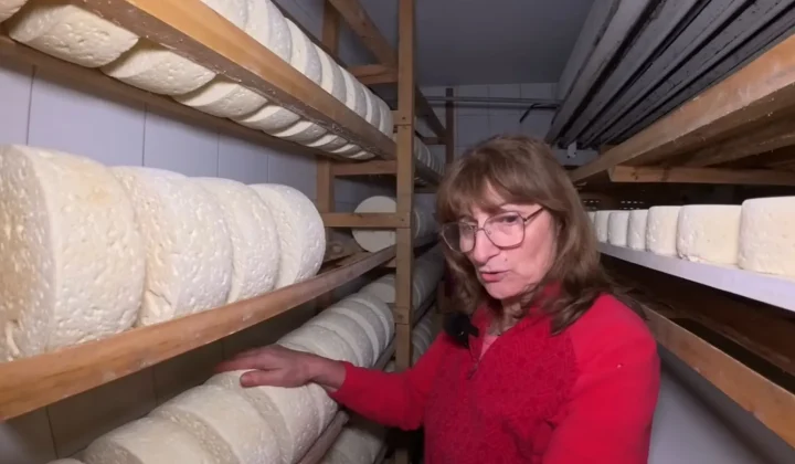 El futuro incierto del queso Cabrales: la falta de relevo amenaza una tradición centenaria