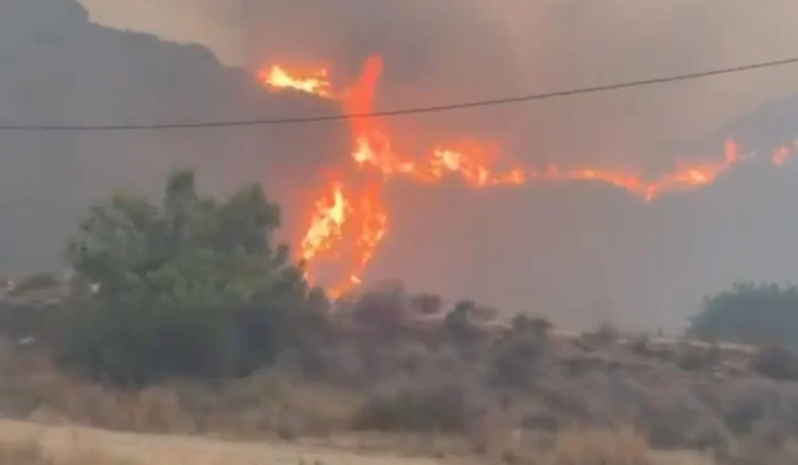 Un trágico incendio forestal en la localidad de Los Gallardos, Almería, ha costado la vida a once personas, convirtiéndose en «el incendio d