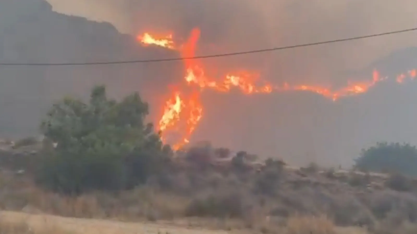 Servicios de emergencia luchan contra un gran incendio forestal en Los Gallardos, Almería.