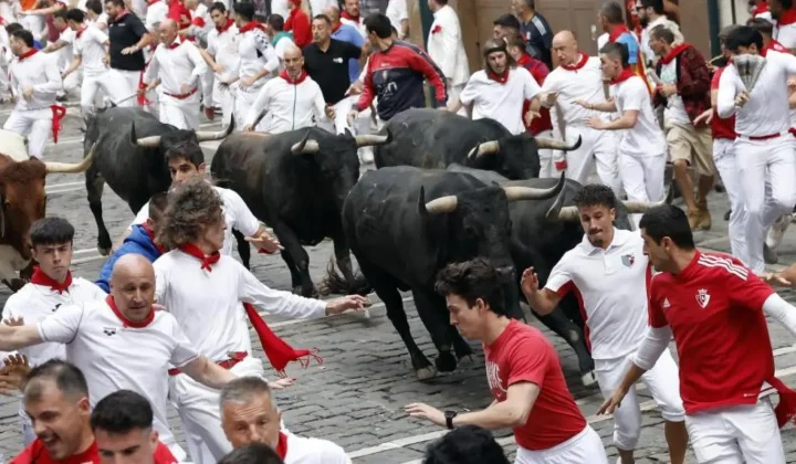Los toros de la ganadería sevillana de Miura han protagonizado un encierro rápido, noble y limpio en el penúltimo día de los Sanfermines 202