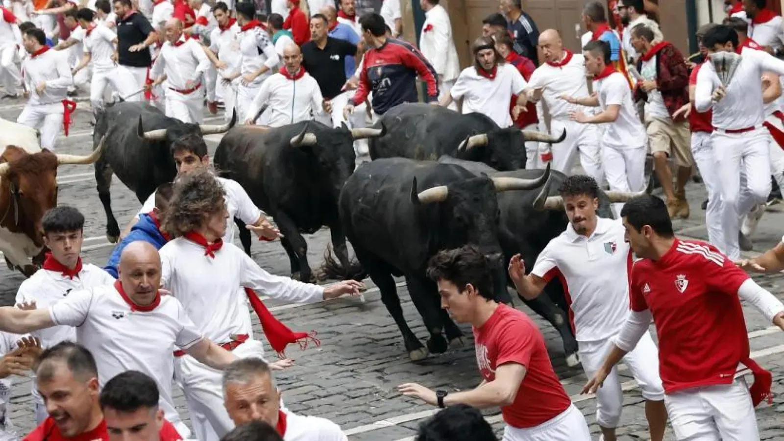 Toros de la ganadería Miura corriendo por las calles de Pamplona durante el encierro de San Fermín.