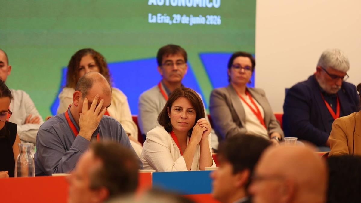 El Comité Autonómico de la Federación Socialista Asturiana (FSA) ha designado a Mario Efrén García como su nuevo vicepresidente. Este nombra