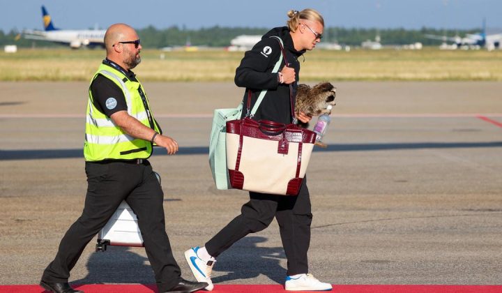 Erling Haaland regresa a Noruega con un peculiar peluche de mapache comprado en Dallas